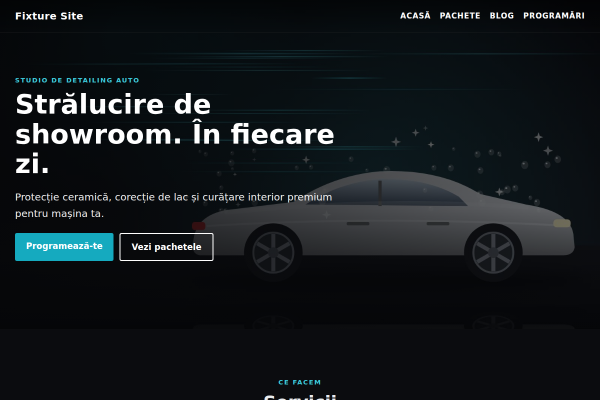 Șablon Detailing auto